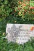 Rosenius, Richard Rosenius, Richard