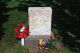 Tait, Ellis Carson Tait, Ellis Carson